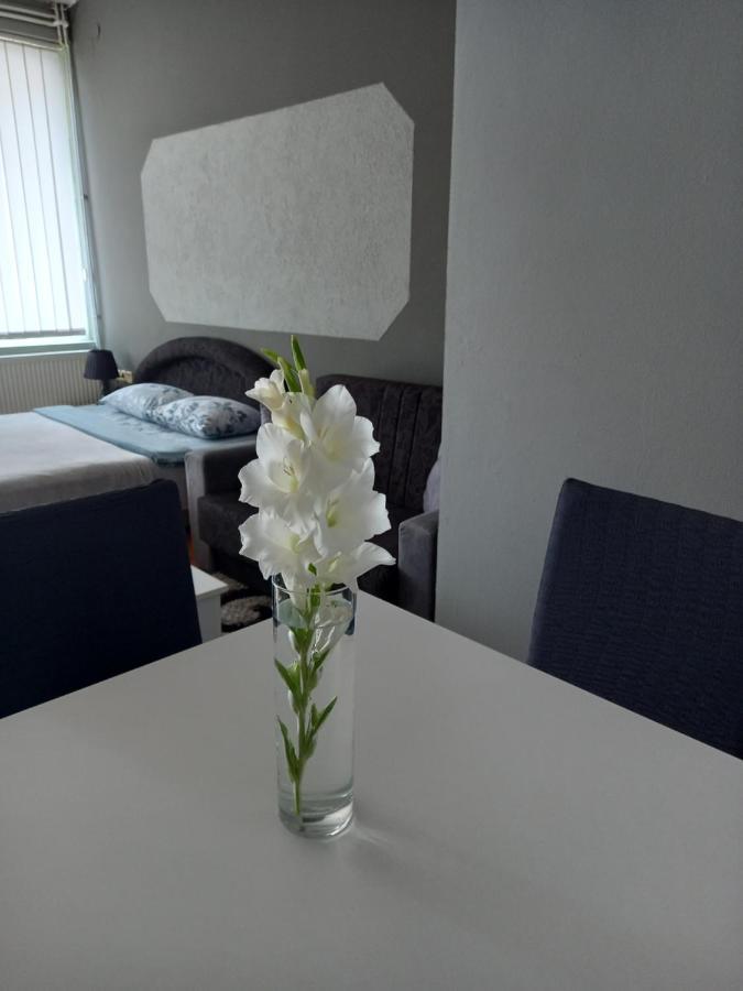 Apartmani Lazaro Visegrad Luaran gambar